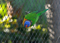 Protection Parrot Aviary Mesh Environmental Enclosure Rust Resistant