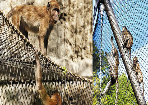 เครือข่ายสายพานนกจากสแตนเลส 300-400N / mm2 ความแข็งแรงในการดึง 1m ความกว้างของม้วนและบรรจุกล่องกล่องกล่อง