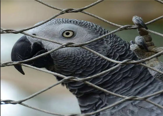 สายใยป่าผิวที่เคลือบด้วย 60 องศา Diamond Mesh และสายใยสแตนเลส