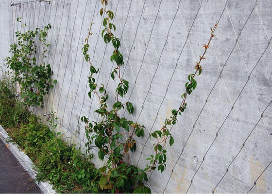 โครงสวนที่เป็นมิตรกับสิ่งแวดล้อมผนังตาข่าย Trellis Ferruted / Knotted Anti - Corrosive Mesh