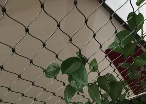 สแตนเลส สายใย Mesh Trellis สําหรับผนังสีเขียวขนาดที่กําหนดเอง