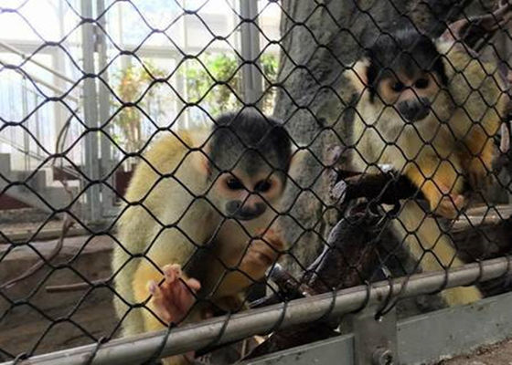 แบล็กออกไซด์ชนิดยืดหยุ่นตาข่ายถักตาข่ายลวดตาข่ายสีดำ