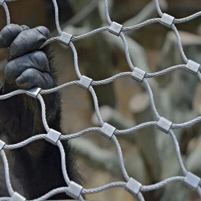 เครื่องเชื่อมเคเบิลเหล็กดัดเหล็ก ที่แข็งแรง ที่ออกแบบมาเพื่ออุปสรรคความปลอดภัย