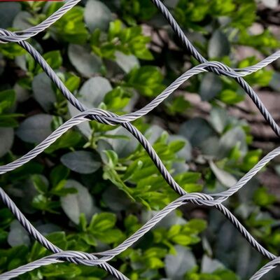 เครือข่ายสายไฟเหล็กไร้ขัดเหล็กยืดหยุ่นที่ออกแบบเพื่อความปลอดภัยในโครงการสถาปัตยกรรม