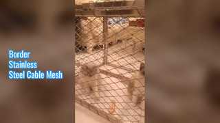 ตาข่ายลวดสแตนเลสขอบ