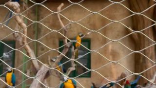 ลวดตาข่ายลวดสแตนเลสทอมีลักษณะอย่างไร